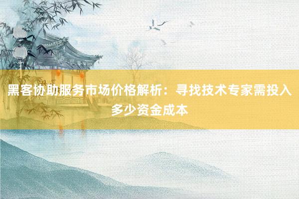 黑客协助服务市场价格解析：寻找技术专家需投入多少资金成本
